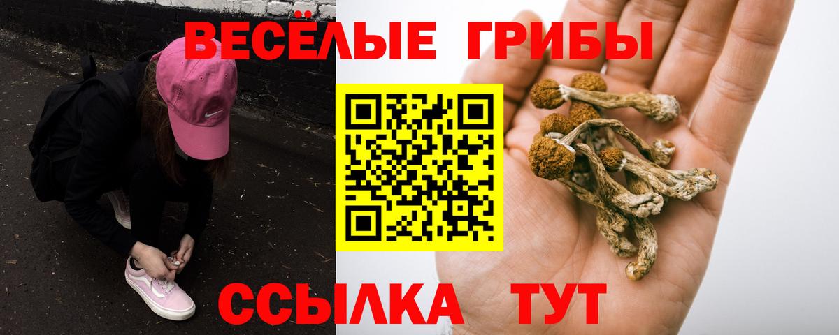 Галлюциногенные грибы мухоморы  Вход с VPN  цена   Набережные Челны 